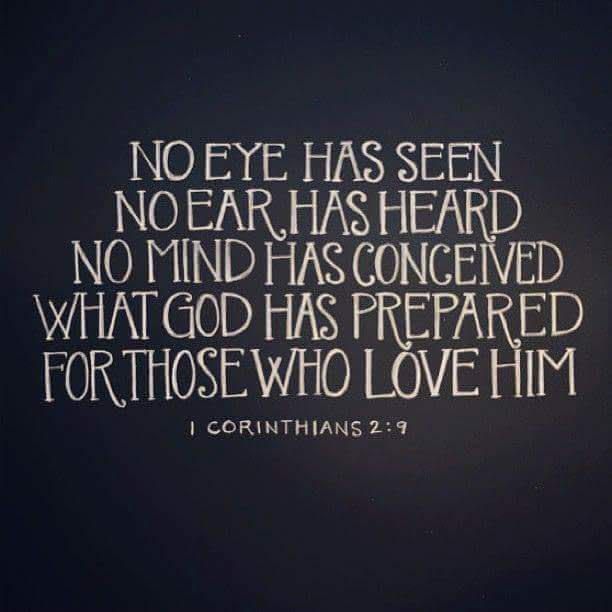 fb_img_1539225026591